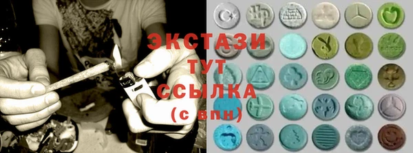 дживик Ельня