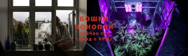 дживик Ельня