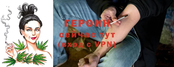 дживик Ельня