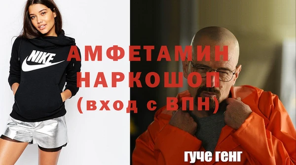 дживик Ельня