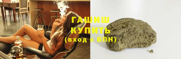 дживик Ельня