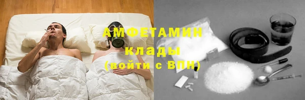 дживик Ельня