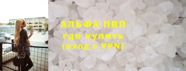 дживик Ельня