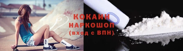 молекула духа Елабуга