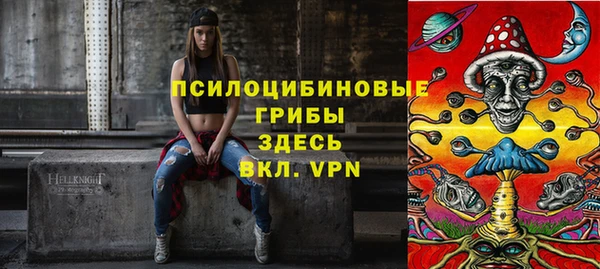 дживик Ельня
