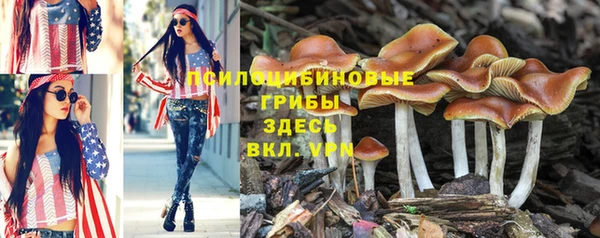 молекула духа Елабуга