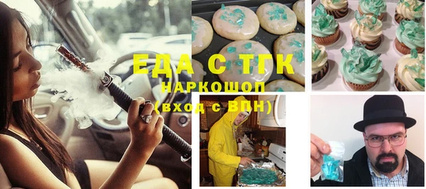 дживик Ельня