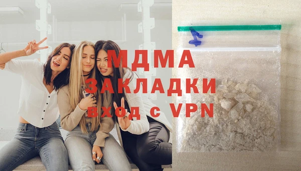 дживик Ельня