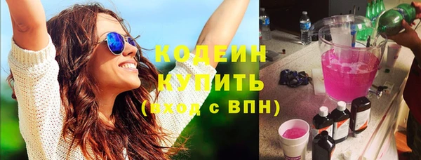 дживик Ельня