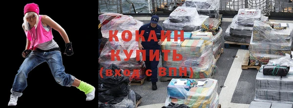дживик Ельня