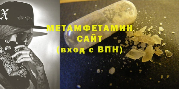 дживик Ельня