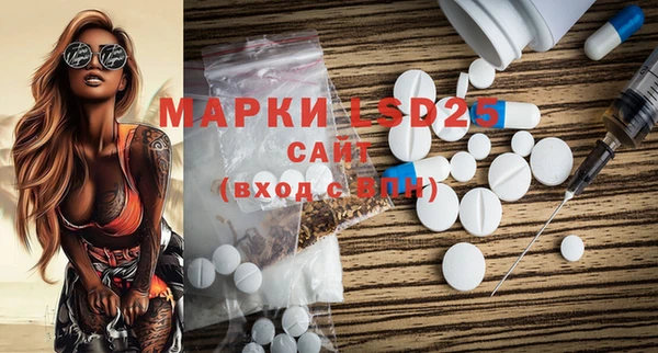 молекула духа Елабуга