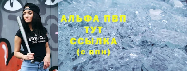 молекула духа Елабуга