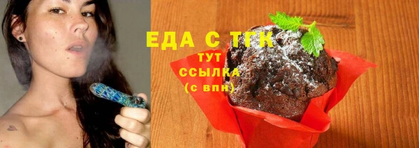 дживик Ельня