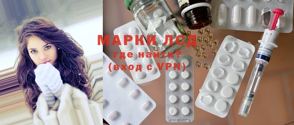 дживик Ельня